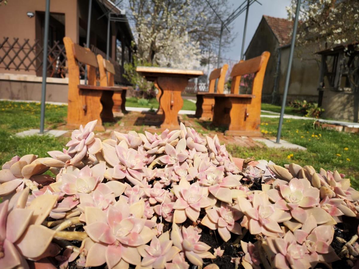 Appartamento Turul -Kuca Za Odmor- Korod Esterno foto