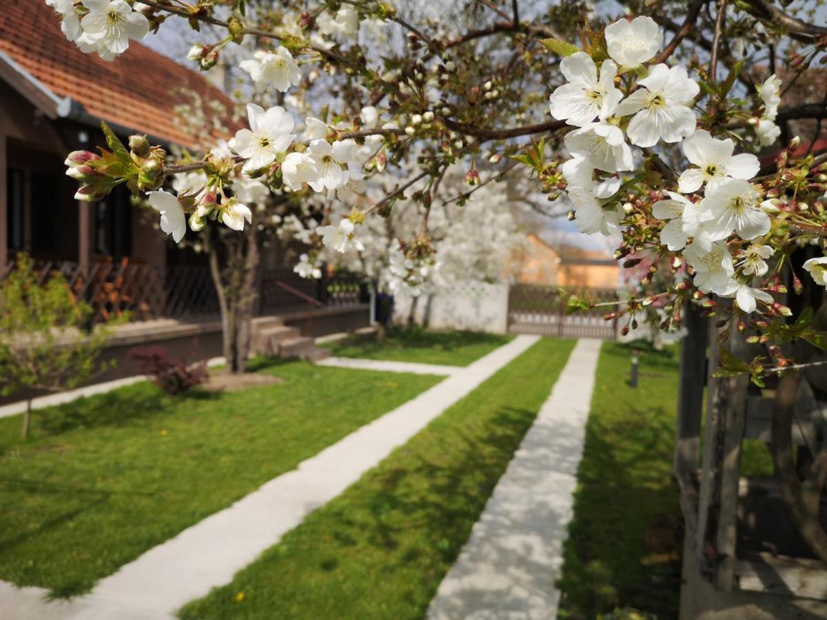 Appartamento Turul -Kuca Za Odmor- Korod Esterno foto