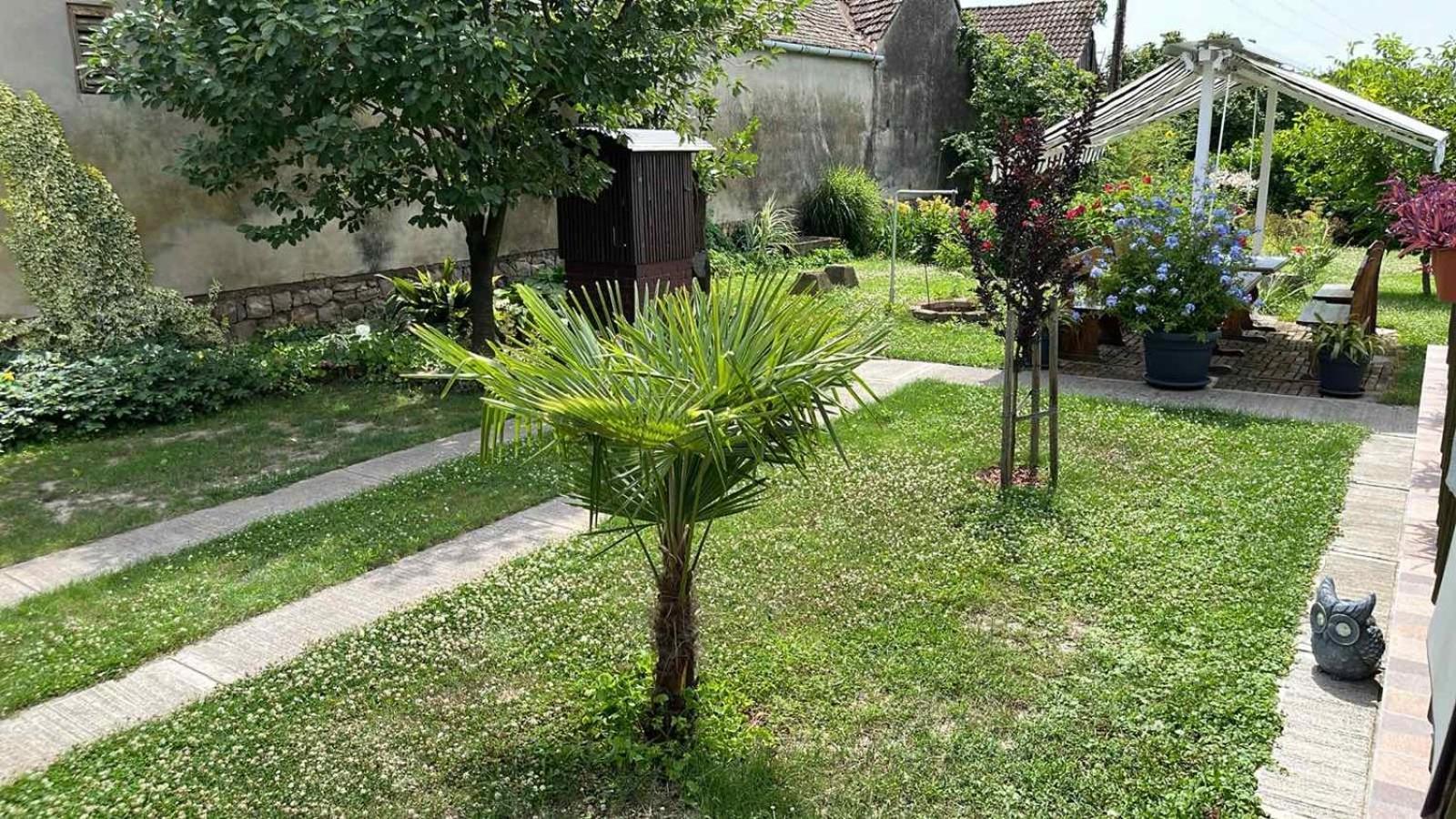 Appartamento Turul -Kuca Za Odmor- Korod Esterno foto
